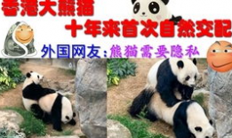 动物交配的视频,揭秘奇妙的交配瞬间